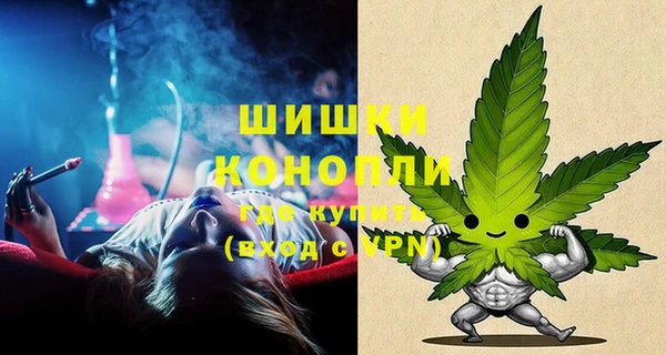 ГАЛЛЮЦИНОГЕННЫЕ ГРИБЫ Ладушкин