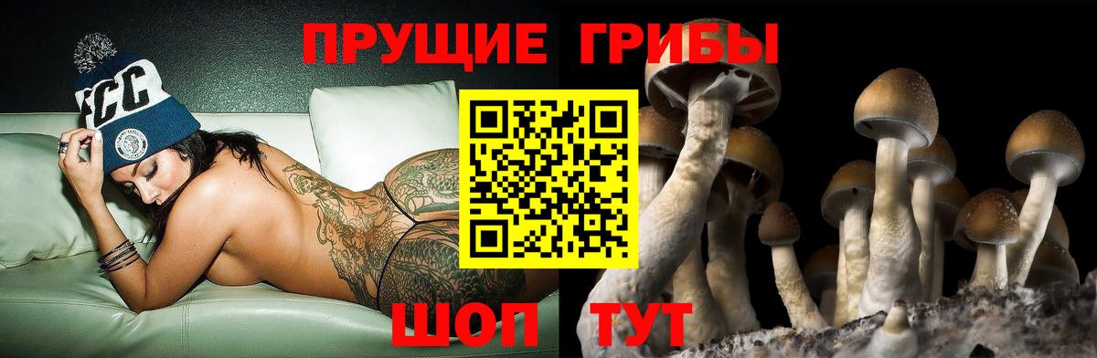 Псилоцибиновые грибы ЛСД Полевской